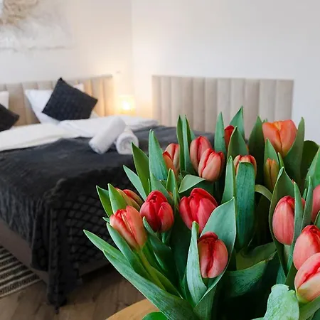 Гостевой дом Karkonoskie Widoki 3*