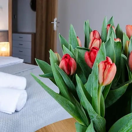 Karkonoskie Widoki Карпач