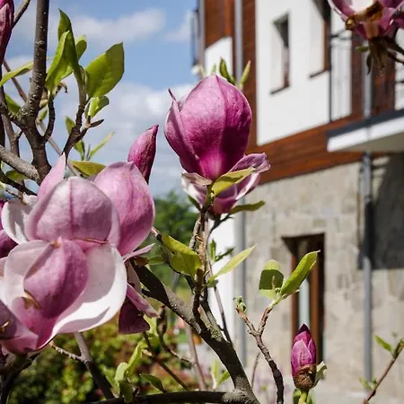 Karkonoskie Widoki Гостевой дом Карпач