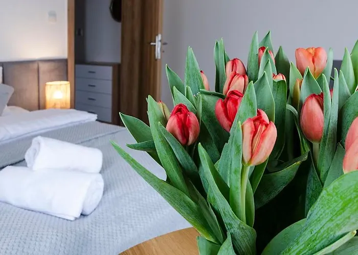 Karkonoskie Widoki 卡尔帕奇