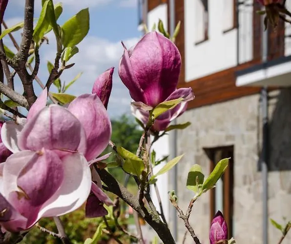 Karkonoskie Widoki Affittacamere Karpacz